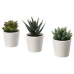 IKEA 3 Adet Yapay Bitki Kaktüs Meridyendukkan 6 Cm 3Lü Çiçek Yeşil Kaktüs