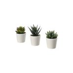 IKEA 3 Lü Yapay Kaktüs Seti Meridyendukkan Kaktüs 3 Lü Set 6 Cm Yapay Bitki Çiçek Saksılı Kaktüs