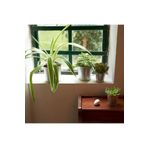 IKEA Akerbar 9 CM Çelik Galvanizli Saksı NTSHOME NTSHOMEIKEA001