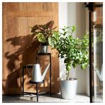 IKEA AKERBAR çelik saksı galvanizli - 90497699