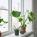 IKEA AKERBAR çelik saksı koyu yeşil - 60562766