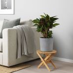 IKEA BOYSENBAR beton saksı açık gri - 70467556