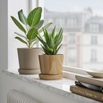 IKEA CITRUSFRUKT beton saksı sarı-kahverengi - 90551573