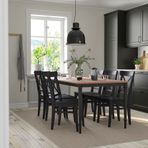 IKEA DANDERYD/INGOLF yemek masası takımı çam kaplama-siyah - 89478395