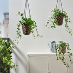 IKEA DRUVFLADER asma saksı su sümbülü - 00241815