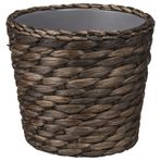 Ikea DRUVFLÄDER bitki saksısı, 12 cm, su sümbülü, gri