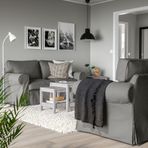 IKEA EKTORP 2'li kanepe hakebo koyu gri - 09509013