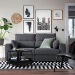 IKEA ESKILSTUNA 2'li kanepe hillared anthracite - 69520183