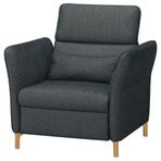 IKEA Fammarp Tallmyra Siyah-Gri Tekli Koltuk