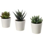 IKEA Fejka Kaktüs 3 Lü Set 6 cm Yapay Bitki Çiçek Saksılı Kaktüs - 001-Renkli