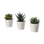 Ikea Fejka Kaktüs Yapay Çiçek Bitki 3 Lü Set