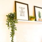 Ikea Fejka Saksı Bitkisi, Yapay, İç/Dış Mekan, Asılı 70 cm. Saksı Çapı 9 cm