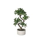 Ikea Fejka Saksılı Yapay Bitki, 16 Cm