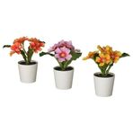 IKEA FEJKA saksılı yapay bitki karışık renkler - 50617689