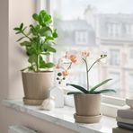 IKEA FEJKA yapay bitki beyaz - 70615335