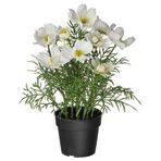 IKEA FEJKA yapay bitki beyaz-yeşil - 40617784