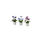 IKEA FEJKA yapay bitki , çok renkli, 6 cm, 3 adet, hercaimenekşe, iç/dış mekan 199