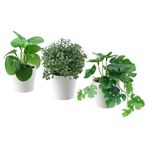 IKEA FEJKA Yapay Bitki Kaktüs 6 cm