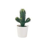IKEA Fejka Yapay Bitki Kaktüs