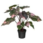 IKEA FEJKA yapay bitki pembe - 90600861