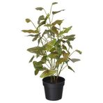 IKEA FEJKA yapay bitki yeşil - 00600851
