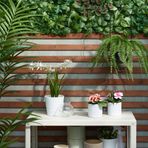 IKEA FEJKA yapay bitki yeşil - 10548631