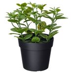 IKEA FEJKA yapay bitki yeşil - 20600850