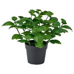 IKEA FEJKA yapay bitki yeşil - 40610749