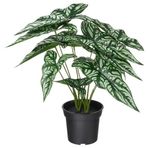 IKEA FEJKA yapay bitki yeşil - 60600867
