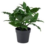 IKEA FEJKA yapay bitki yeşil - 60610748