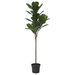 IKEA FEJKA yapay bitki yeşil - 80568890