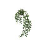 Ikea Fejka Yapay Bitki, Yeşil, 9 Cm, Sarmaşık