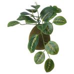 IKEA FEJKA yapay bitki, yeşil, 9 cm