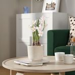 IKEA FEJKA Yapay Saksı Bitkisi Beyaz 9 cm