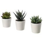 IKEA Fejka Yapay Saksı Bitkisi Saksılı İç Mekan Dış Mekan Etli / 3'lü Paket Boyutu 2 ¼ " 3'lü Paket 203.953.31