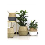 Ikea Fladis Saksı Sepet Deniz Sazı Sepet 25 Cm Min. Yükseklik: 18 Cm Yükseklik: 32 Cm
