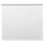 IKEA FRIDANS stor perde beyaz - 30396863