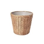 Ikea Frıdfull Raftan Saksı Su Sümbülü 24Cm