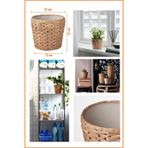 Ikea Frıdfull Saksı, Su Sümbülü, 12 Cm Bej Plastik 12 Cm