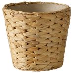 IKEA Frıdfull Su Sümbülü 12 cm Saksı