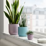 IKEA GRADVIS seramik saksı lila - 80569333