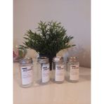 IKEA Guldfısk Baharat Kavanozu Cam-Paslanmaz Çelik 6 Cl X 4 Adet - 60 ml - Şeffaf