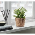 IKEA Hasır Bitki Saksısı Yükseklik 13 cm Dekoratif Saksı Su Sümbülü Saksı Dış Çap 15 cm - Yükseklik: 13 cm Dış çap: 15 cm