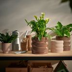 IKEA HASSELBUKETT seramik saksı yeşil-kahverengi - 80595916