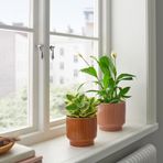 IKEA HONUNGSPALM seramik saksı kahverengi - 90595789