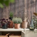IKEA KLARBAR toprak saksı kahverengi - 40508426