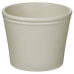 IKEA KÖRSBARSBJÖRK toprak saksı açık gri-bej - 00591719