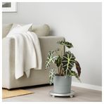 IKEA NYPON plastik saksı gri - 30395627
