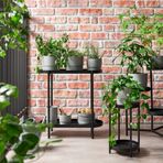 IKEA OLIVBLAD çiçeklik siyah - 10486647