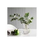 IKEA Padrag 17 cm Saydam Cam Vazo